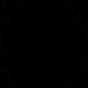 Meet your Posher, Petrina